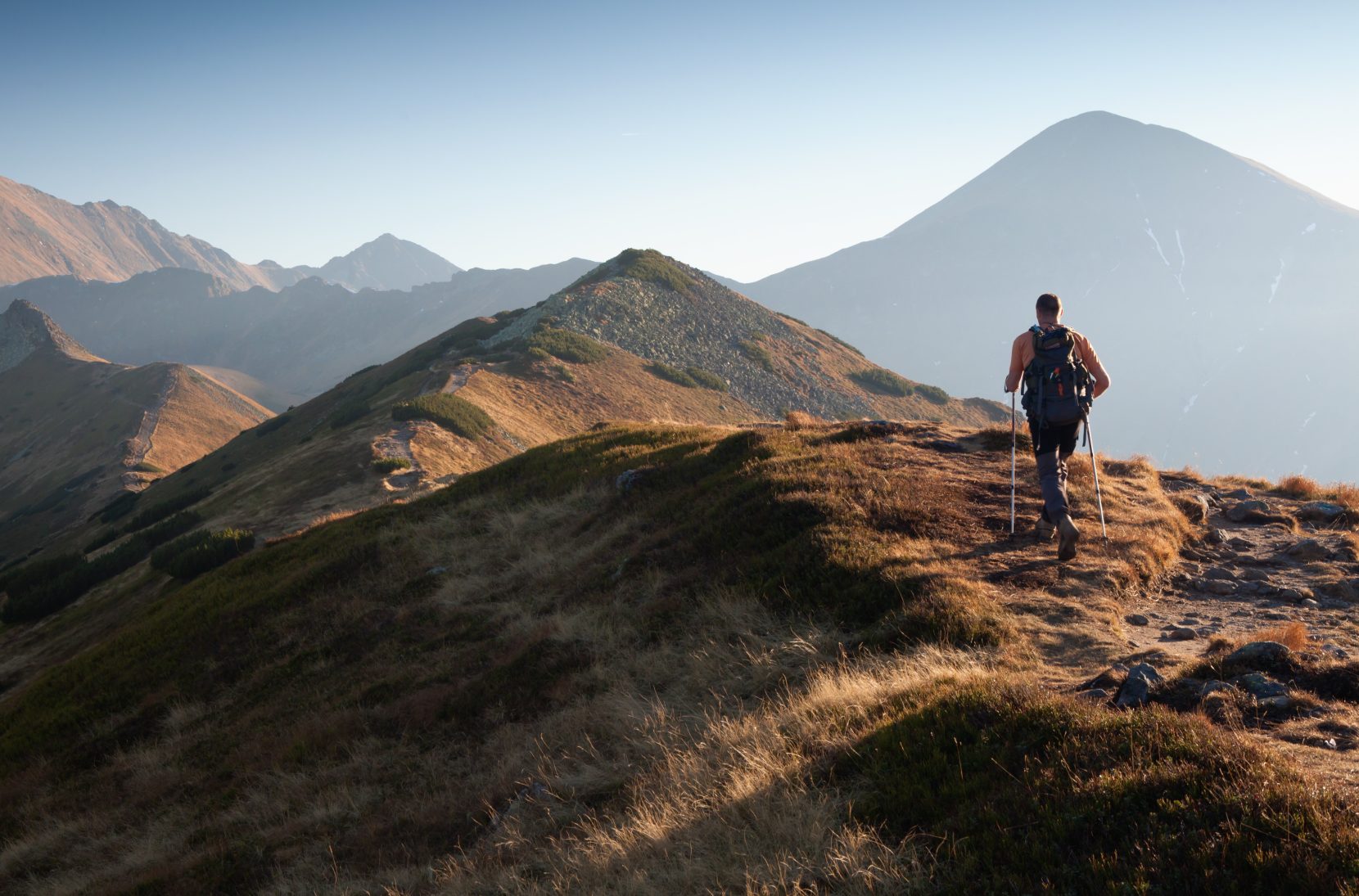 Health Optimization new right image